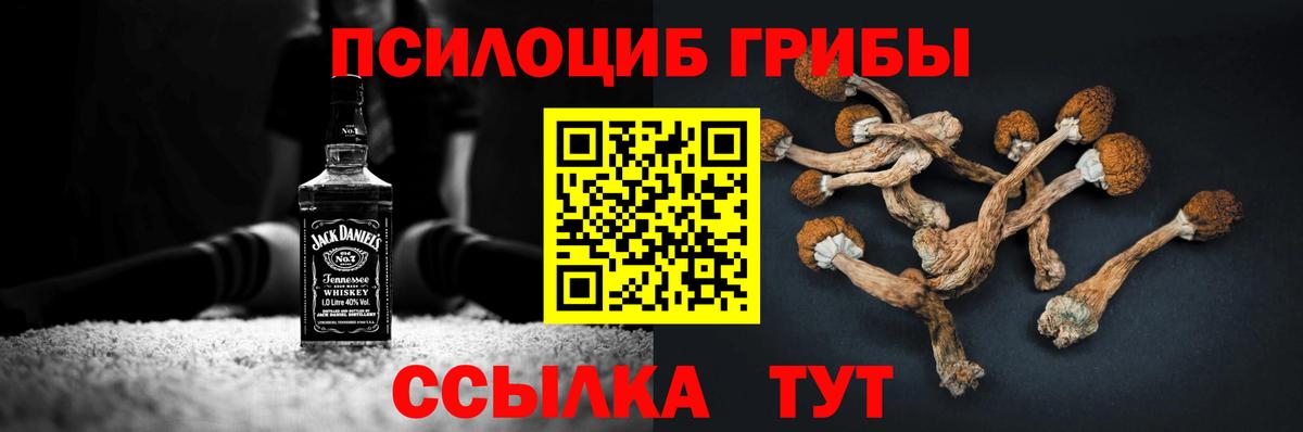 Псилоцибиновые грибы MAGIC MUSHROOMS  Галлюциногенные грибы ЛСД  Элиста  Вход с VPN 